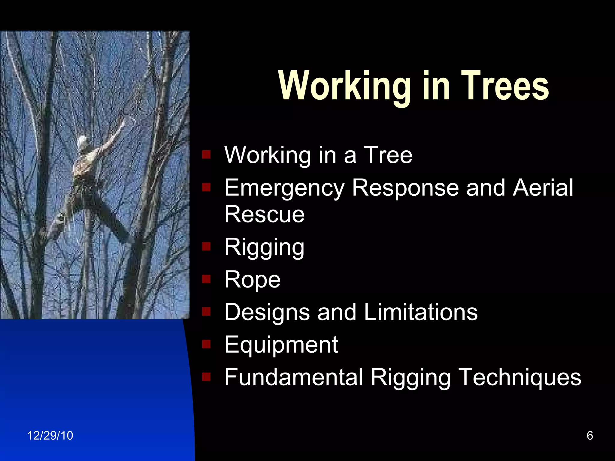 Safety climbing and working in trees | PPT