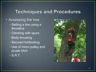 Safety, climbing, and working in trees | PPTX