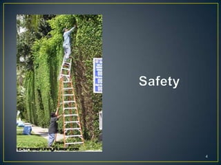 Safety, climbing, and working in trees | PPTX