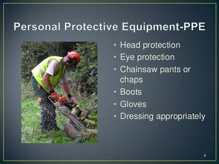 Safety, climbing, and working in trees