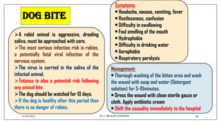 Dog Bite
A rabid animal is aggressive, drooling
saliva, must be approached with care.
The most serious infection risk is rabies,
a potentially fatal viral infection of the
nervous system.
The virus is carried in the saliva of the
infected animal.
Tetanus is also a potential risk following
any animal bite.
The dog should be watched for 10 days.
If the dog is healthy after this period then
there is no danger of rabies.
Symptoms:
• Headache, nausea, vomiting, fever
• Restlessness, confusion
• Difficulty in swallowing
• Foul smelling of the mouth
• Hydrophobia
• Difficulty in drinking water
• Aerophobia
• Respiratory paralysis
Management:
• Thorough washing of the bitten area and wash
the wound with soap and water (Detergent
solution) for 5-10minutes.
• Dress the wound with clean sterile gauze or
cloth. Apply antibiotic cream
• Shift the causality immediately to the hospital
01-03-2023 39
Dr.C. BEULAH JAYARANI
 