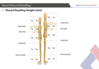 Agile | Passionate | Committed
Manul Material Handling
Female Male
• Manual Handling Weight Limits
 