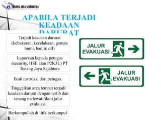 APABILA TERJADI
KEADAAN
DARURAT
Terjadi keadaan darurat
(kebakaran, kecelakaan, gempa
bumi, banjir, dll)
Ikuti instruksi dari petugas.
Berkumpullah di titik berkumpul
Laporkan kepada petugas
(security, HSE atau P2K3L) PT
Tenang Jaya Sejahtera
Tinggalkan area tempat terjadi
keadaan darurat dengan tertib dan
tenang melewati/ikuti jalur
evakuasi.
 