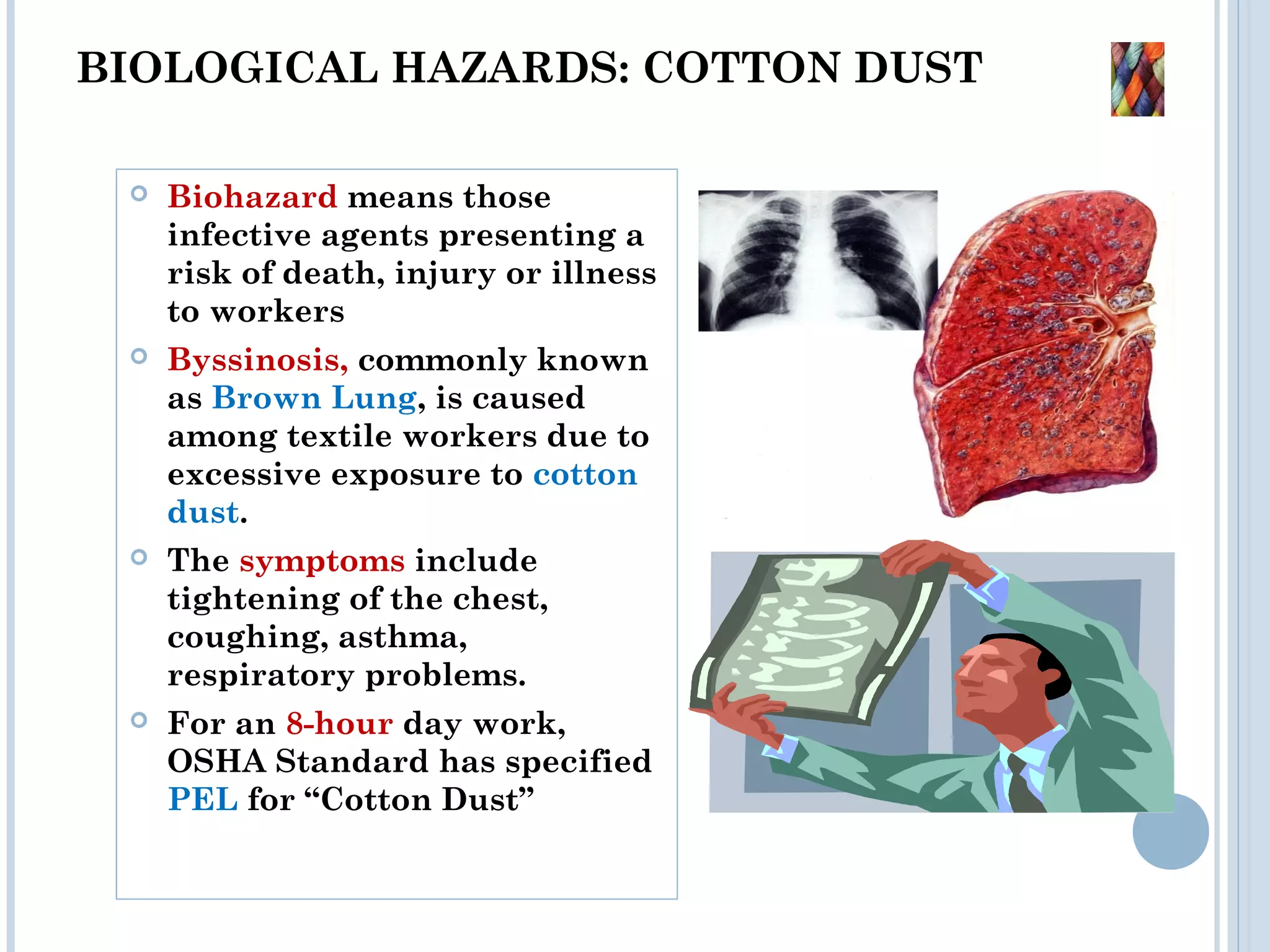 Health and Safety Issues in textile sector | PPT