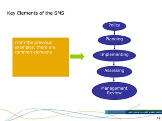 12
Key Elements of the SMS
From the previous
examples, there are
common elements
Policy
Planning
Implementing
Assessing
Management
Review
 
