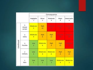 Managing Bats Risk Matrix Safety Management System.pptx