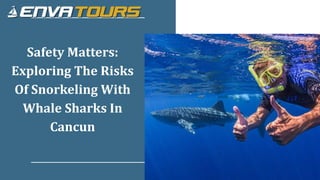 Safety Matters:
Exploring The Risks
Of Snorkeling With
Whale Sharks In
Cancun
 