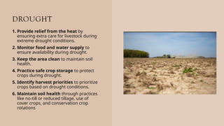 Drought Safety.pdf Safety measures and guidelines in the farm.pptx