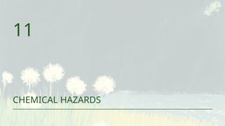 11
CHEMICAL HAZARDS
 