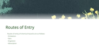 Routes of entry of chemical hazards are as follows:
•Inhalation
•Skin
•Ingestion
•Absorption
Routes of Entry
 