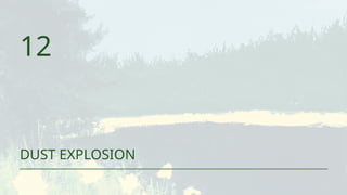 12
DUST EXPLOSION
 