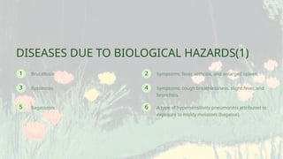 6
4
1
3
5
2 Symptoms: fever, arthritis, and enlarged spleen.
A type of hypersensitivity pneumonitis attributed to
exposure to moldy molasses (bagasse).
DISEASES DUE TO BIOLOGICAL HAZARDS(1)
Bagassosis
Symptoms: cough breathlessness, slight fever, and
bronchitis.
Byssinosis
Brucellosis
 