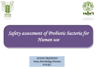 Safety assessment of Probiotic bacteria for
Human use
DIWAS PRADHAN
Dairy Microbiology Division
N.D.R.I.
 