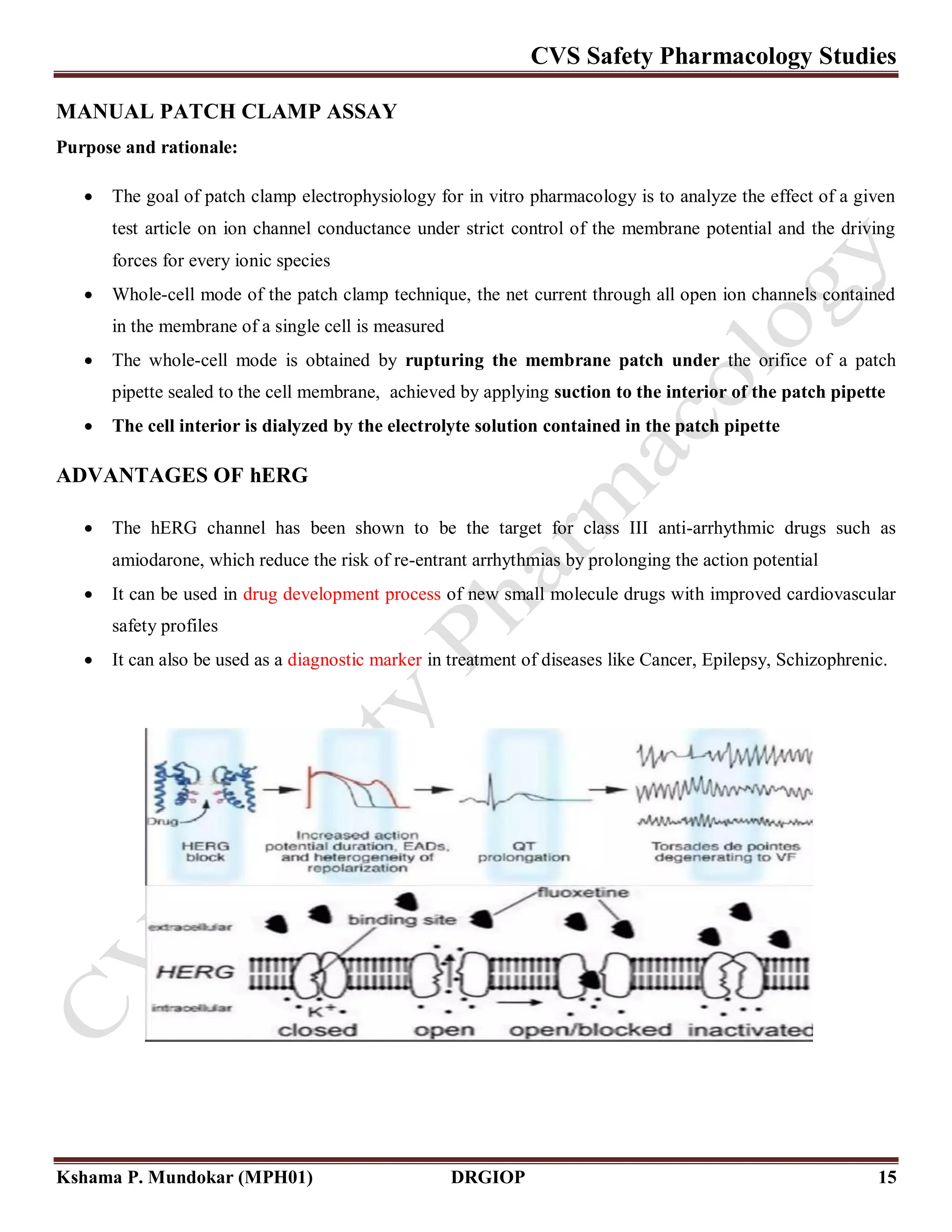 Clamps Risks Safety Pharmacology Teir I - Cardiovascular System.pdf