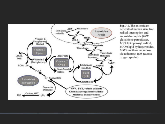 Safety protocol in vitamin c injection | PPTX | Blood Disorders ...