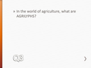» In the world of agriculture, what are 
AGRILYPHS? 
 