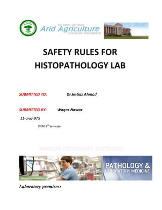 SAFETY RULES FOR
       HISTOPATHOLOGY LAB

SUBMITTED TO:               Dr.Imtiaz Ahmad


SUBMITTED BY:        Waqas Nawaz

11-arid-975
         DVM 3rd Semester




Laboratory premises:
 