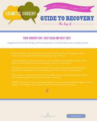 Guide to Recovery: The Day Of
