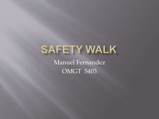 Manuel Fernandez
OMGT 5403
 