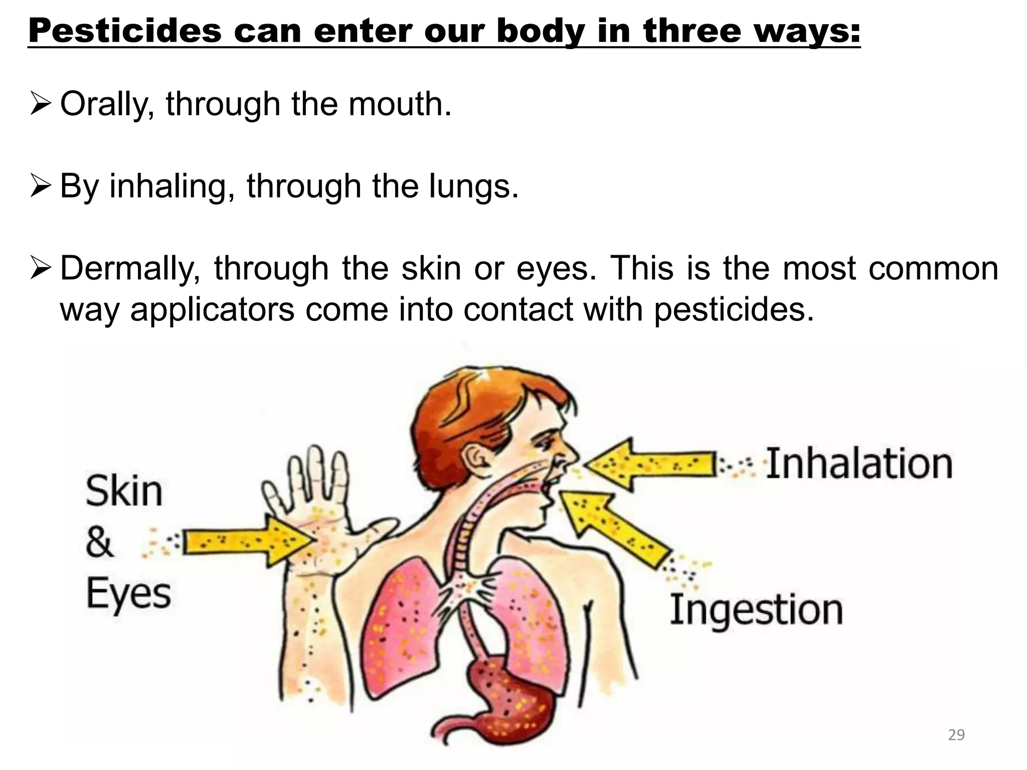 Safe use of pesticides | PDF