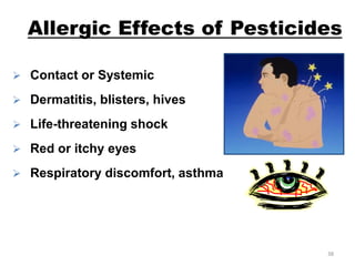 Safe use of pesticides | PDF