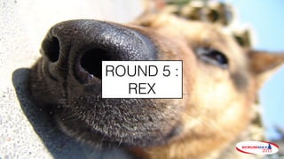 ROUND 5 :
REX
 
