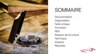 SOMMAIRE
Documentation
Organisation
Taille critique
Formation
REX
Respect de la culture
Technique
Impacts
Résultats
 