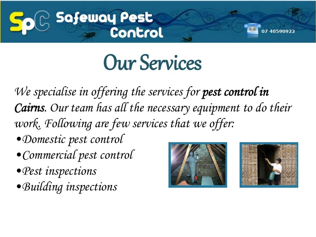 Pest Control in Cairns Safeway Pest Control