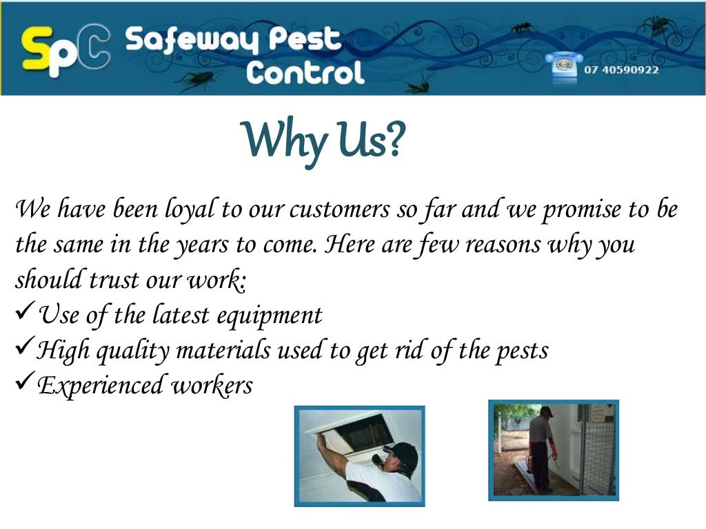 Pest Control in Cairns Safeway Pest Control