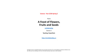 Science - Year 3/4A Spring 2
Plants
A Feast of Flowers,
Fruits and Seeds
arshidatrading
Session 2
Teaching PowerPoint
https://arshidatrading.co
© Original resource copyright Hamilton Trust, who give permission for it to be adapted as wished by individual users.
We refer you to our warning, at the foot of the block overview, about links to other websites.
 