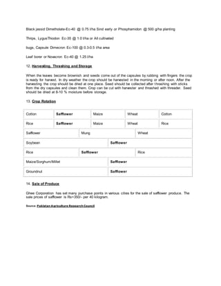Black jassid Dimetholate-Ec-40 @ 0.75 l/ha Sind early or Phosphamidon @ 500 g/ha planting
Thrips, LygusThiodon Ec-35 @ 1.0 l/ha or All cultivated
bugs, Capsule Dimecron Ec-100 @ 0.3-0.5 l/ha area
Leaf borer or Novacron Ec-40 @ 1.25 l/ha
12. Harvesting, Thrashing and Storage
When the leaves become brownish and seeds come out of the capsules by rubbing with fingers the crop
is ready for harvest. In dry weather the crop should be harvested in the morning or after noon. After the
harvesting the crop should be dried at one place. Seed should be collected after thrashing with sticks
from the dry capsules and clean them. Crop can be cut with harvester and thrashed with threader. Seed
should be dried at 8-10 % moisture before storage.
13. Crop Rotation
Cotton Safflower Maize Wheat Cotton
Rice Safflower Maize Wheat Rice
Safflower Mung Wheat
Soybean Safflower
Rice Safflower Rice
Maize/Sorghum/Millet Safflower
Groundnut Safflower
14. Sale of Produce
Ghee Corporation has set many purchase points in various cities for the sale of safflower produce. The
sale prices of safflower is Rs=350/- per 40 kilogram.
Source: Pakistan Agriculture Research Council
 