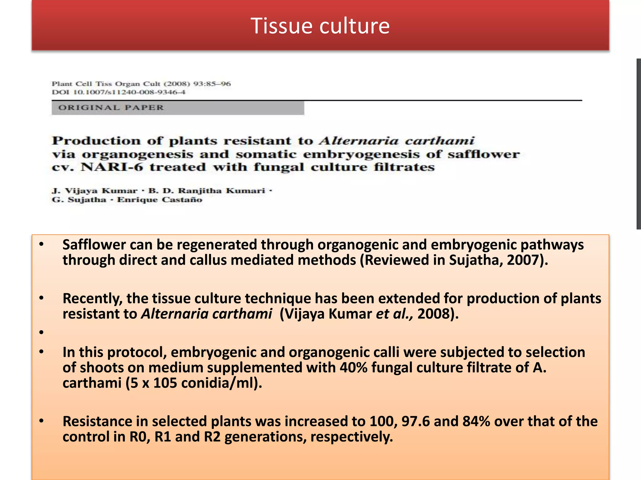 Tissue culture
• Safflower can be regenerated through organogenic and embryogenic pathways
through direct and callus mediated methods (Reviewed in Sujatha, 2007).
• Recently, the tissue culture technique has been extended for production of plants
resistant to Alternaria carthami (Vijaya Kumar et al., 2008).
•
• In this protocol, embryogenic and organogenic calli were subjected to selection
of shoots on medium supplemented with 40% fungal culture filtrate of A.
carthami (5 x 105 conidia/ml).
• Resistance in selected plants was increased to 100, 97.6 and 84% over that of the
control in R0, R1 and R2 generations, respectively.
 