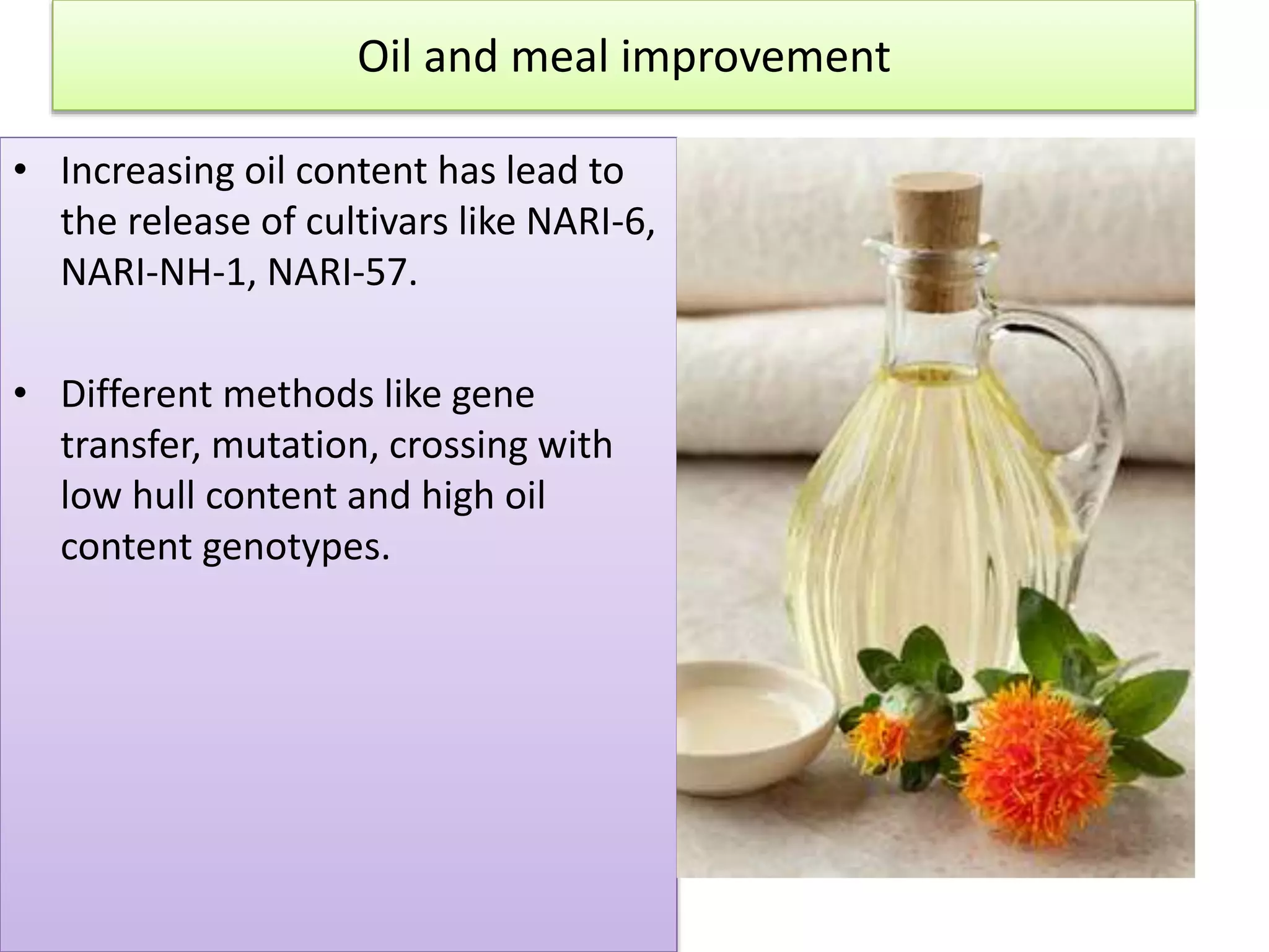 Oil and meal improvement
• Increasing oil content has lead to
the release of cultivars like NARI-6,
NARI-NH-1, NARI-57.
• Different methods like gene
transfer, mutation, crossing with
low hull content and high oil
content genotypes.
 