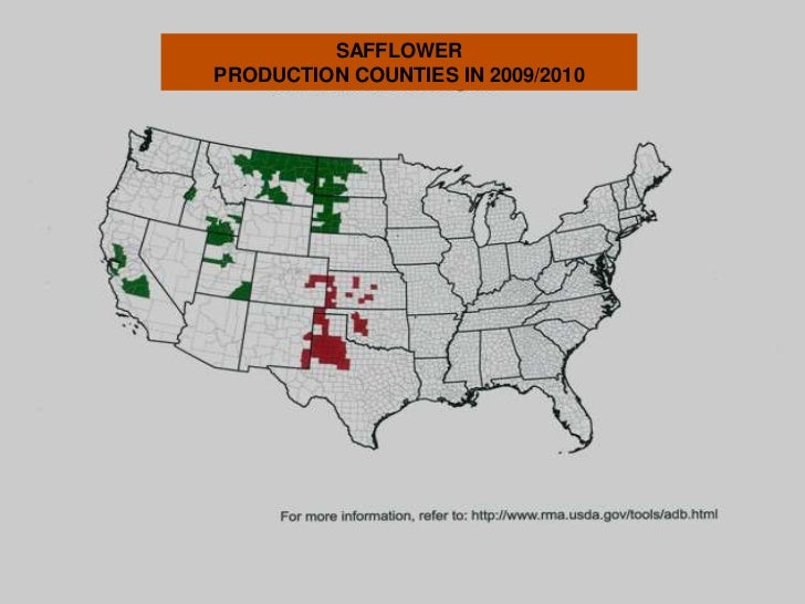 Why Grow Safflower 2011