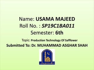 Name: USAMA MAJEED
Roll No. : SP19C1BA011
Semester: 6th
Topic: Production Technology Of Safflower
Submitted To: Dr. MUHAMMAD ASGHAR SHAH
 