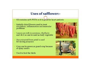 Safflower Presentation Crop Production.pptx