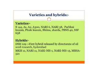 Safflower Presentation Crop Production.pptx