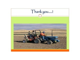 Safflower Presentation Crop Production.pptx