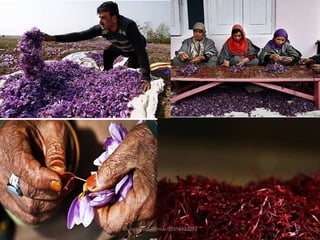 Muhammad Ammar 03356337082 15
 