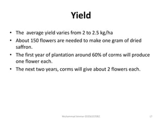 Yield
• The average yield varies from 2 to 2.5 kg/ha
• About 150 flowers are needed to make one gram of dried
saffron.
• The first year of plantation around 60% of corms will produce
one flower each.
• The next two years, corms will give about 2 flowers each.
17Muhammad Ammar 03356337082
 