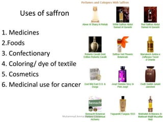 Uses of saffron
1. Medicines
2.Foods
3. Confectionary
4. Coloring/ dye of textile
5. Cosmetics
6. Medicinal use for cancer
18Muhammad Ammar 03356337082
 