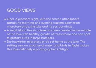 GOOD VIEWS
● Once a pleasant sight, with the serene atmosphere
attracting morning and evening walkers apart from
migratory birds, the lake and its surroundings .
● A small island like structure has been created in the middle
of the lake with healthy growth of trees where one can spot
migratory birds in large numbers.
● During winter, migratory birds set home at the lake. The
setting sun, an expanse of water and birds in ﬂight makes
this lake deﬁnitely a photographer’s delight.
 