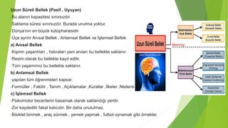 Uzun Süreli Bellek (Pasif , Uyuyan)
•Bu alanın kapasitesi sınırsızdır.
•Saklama süresi sınırsızdır. Burada unutma yoktur.
•Dünya’nın en büyük kütüphanesidir.
•Üçe ayrılır Anısal Bellek , Anlamsal Bellek ve İşlemsel Bellek
a) Anısal Bellek
•Kişinin yaşantıları , hatıraları yani anıları bu bellekte saklanır.
•Resim olarak bu bellekte kayıt edilir.
•Tüm yaşamımız bu bellekte saklanır.
b) Anlamsal Bellek
•yapılan tüm öğrenmeleri kapsar.
•Formüller , Faktör , Tanım , Açıklamalar ,Kurallar ,İlkeler ,Nedenler vs. )
c) İşlemsel Bellek
•Psikomotor becerilerin basamak olarak saklandığı yerdir.
•Zor kaydedilir fakat kalıcıdır. Bir daha unutulmaz.
•Bisiklet binmek , araç sürmek , yemek yapmak , futbol oynamak gibi örnekler.
 