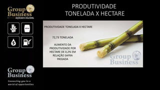 PRODUTIVIDADE
TONELADA X HECTARE
PRODUTIVIDADE TONELADA X HECTARE
72,73 TONELADA
AUMENTO DA
PRODUTIVIDADE POR
HECTARE DE 0,2% EM
RELAÇÃO SAFRA
PASSADA
 