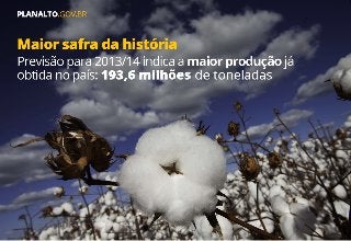 Agronegócio consolida Brasil como protagonista mundial na produção e exportação de alimentos