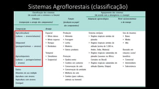 Sistemas Agroflorestais