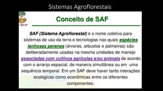Sistemas Agroflorestais
 