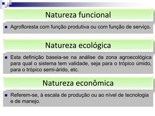 Natureza funcional
 Agrofloresta com função produtiva ou com função de serviço.
Natureza ecológica
 Esta definição baseia-se na análise da zona agroecológica
para qual o sistema tem validade, seja para o trópico úmido,
para o trópico semi-árido, etc.
Natureza econômica
 Referem-se, à escala de produção ou ao nível de tecnologia
e de manejo.
 