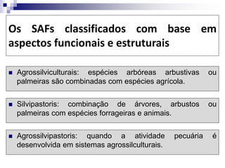 Os SAFs classificados com base em
aspectos funcionais e estruturais
 Agrossilviculturais: espécies arbóreas arbustivas ou
palmeiras são combinadas com espécies agrícola.
 Silvipastoris: combinação de árvores, arbustos ou
palmeiras com espécies forrageiras e animais.
 Agrossilvipastoris: quando a atividade pecuária é
desenvolvida em sistemas agrossilculturais.
 