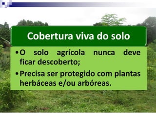 Cobertura viva do solo
•O solo agrícola nunca deve
ficar descoberto;
•Precisa ser protegido com plantas
herbáceas e/ou arbóreas.
 